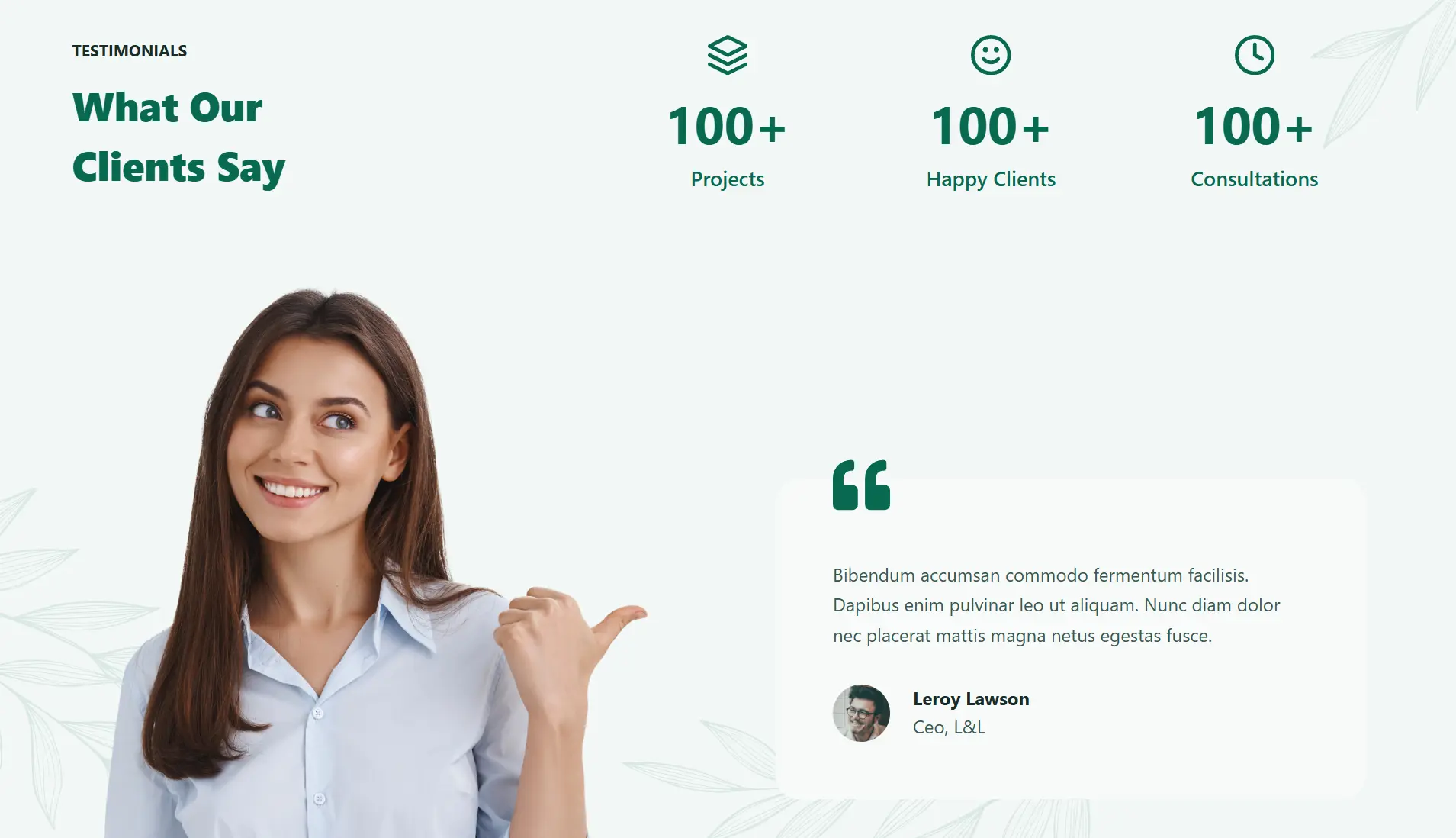 Consultant Advisers Screenshot