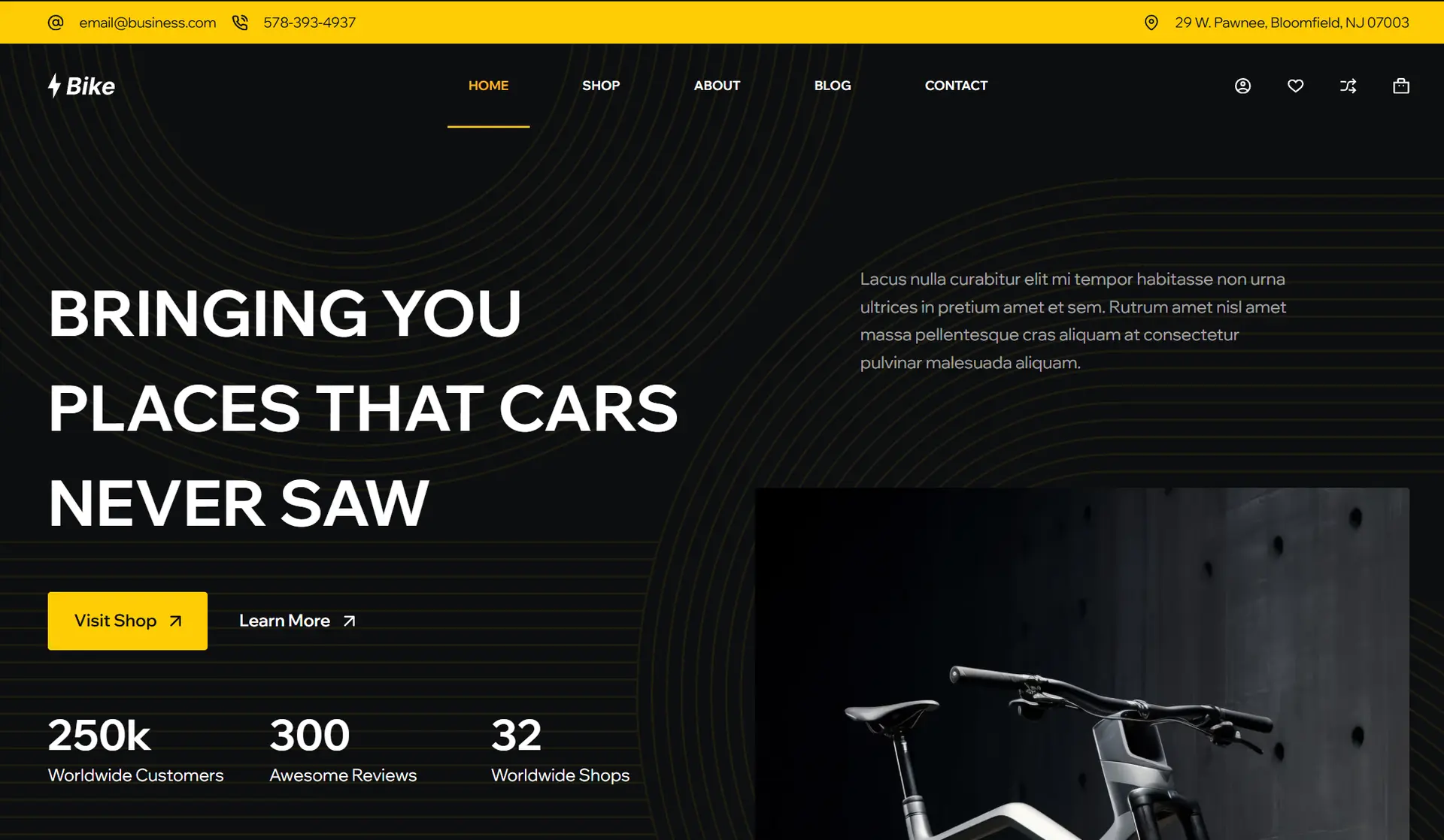 E-Bike Store Screenshot