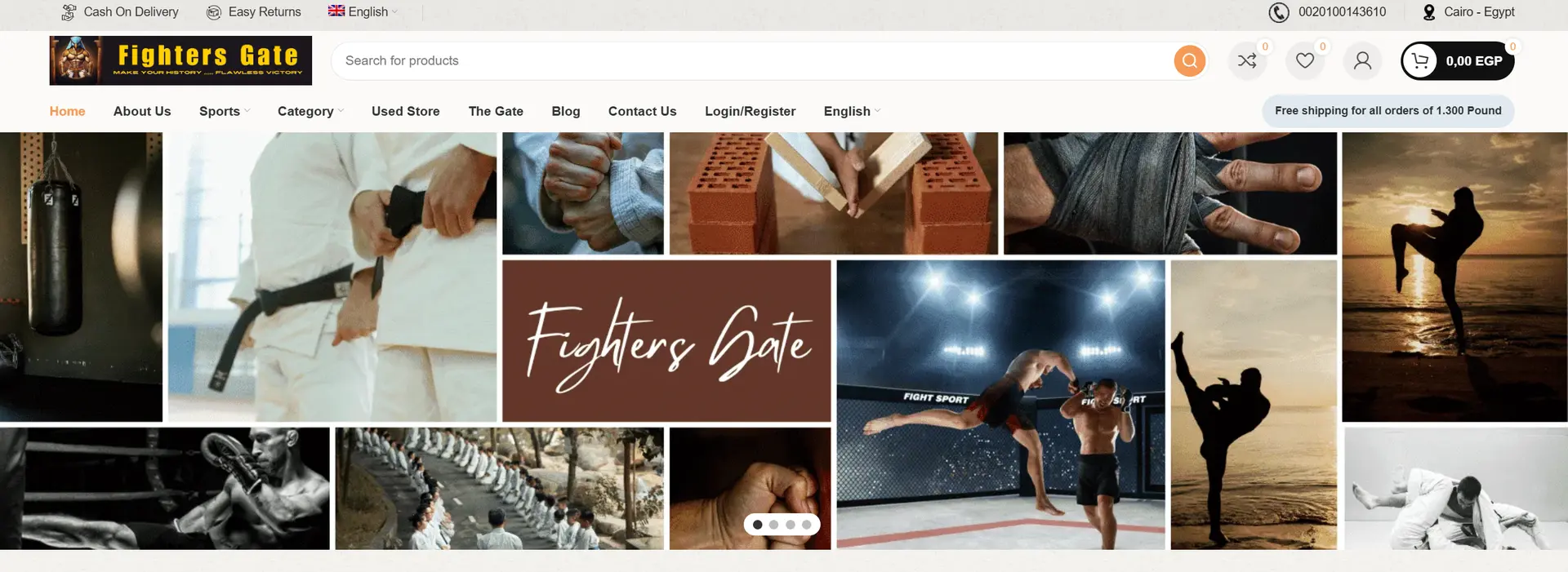 Fighters Gate Screenshot