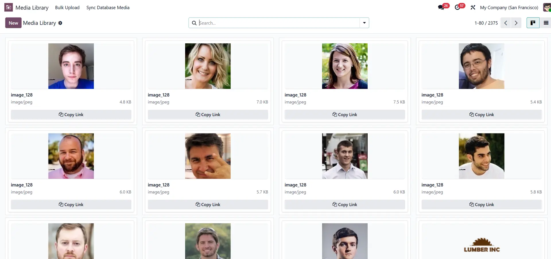Odoo Server Media Manager Screenshot