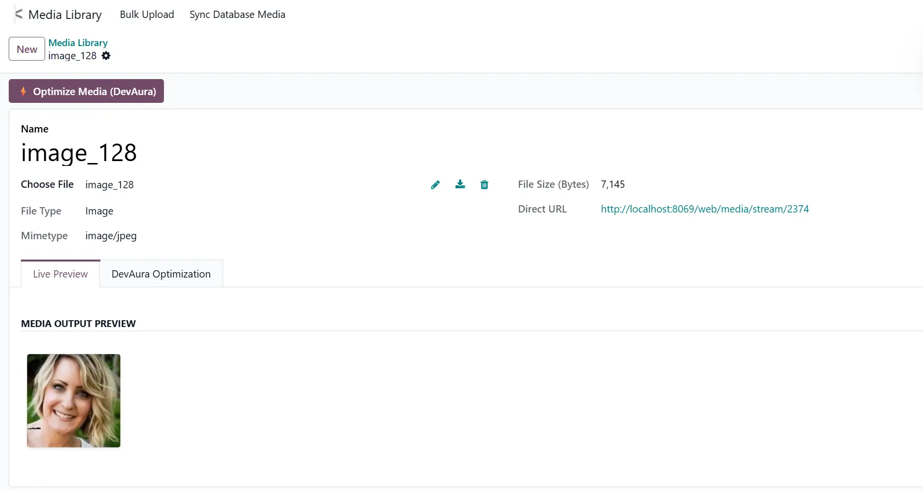 Odoo Server Media Manager Screenshot