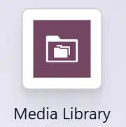 Odoo Server Media Manager Screenshot